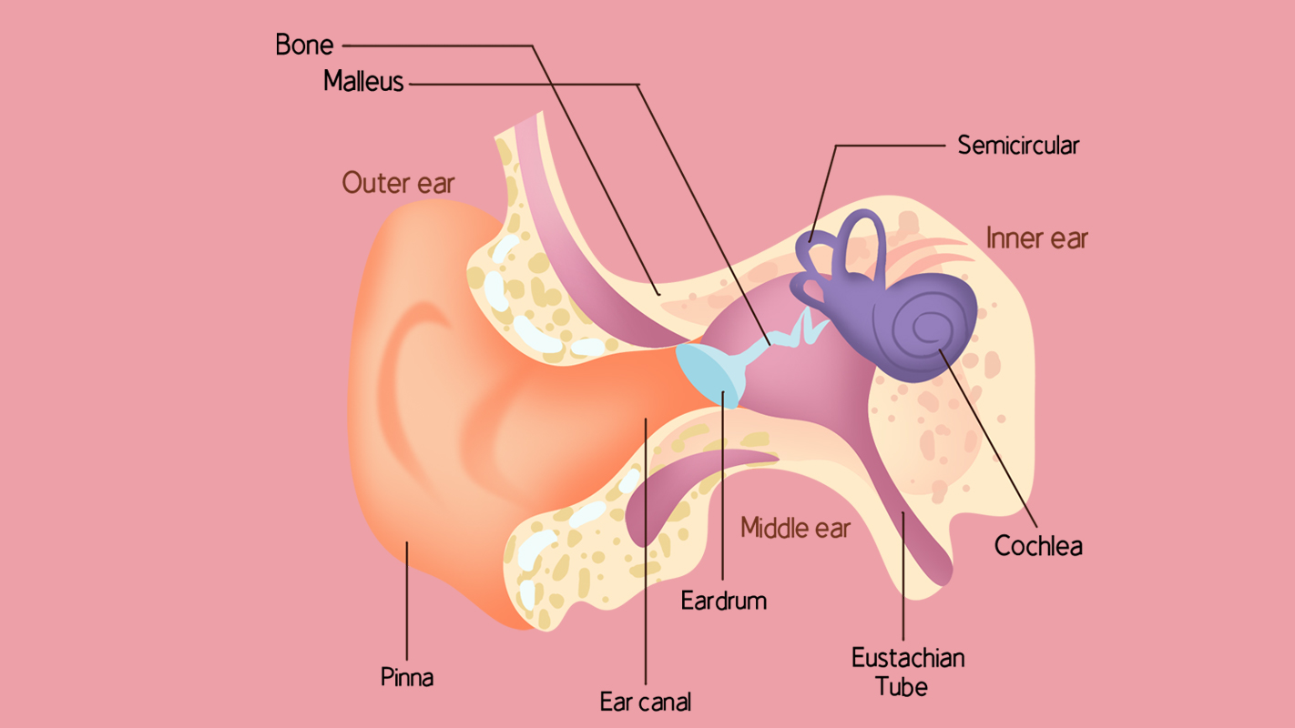 اعراض الاذن الوسطى