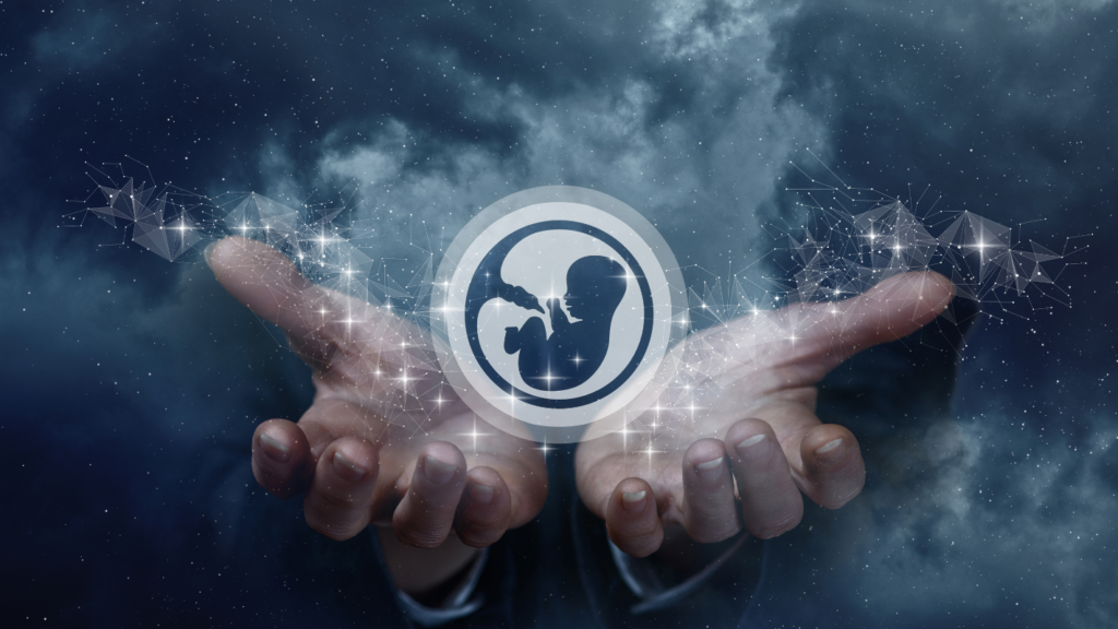 ترجيع الأجنة المجمدة 2 نصائح قبل ترجيع الأجنة المجمدة